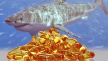 Shark Liver Oil – The Aquatic Blessing