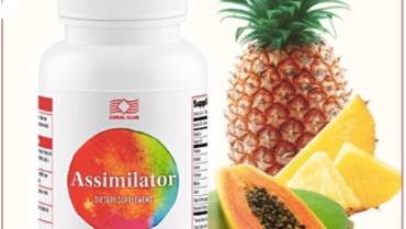 Assimilator – Digestion Support & Lymphatic Detox