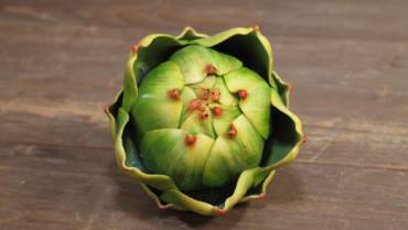 Coral Artichoke – The Liver Detox