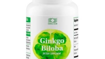 Gingko Biloba – The Symbol of Strength & Longevity