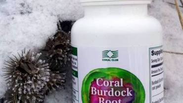 Coral Burdock Root: Good Liver Support